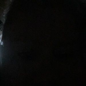 Meet your Posher, Daphne